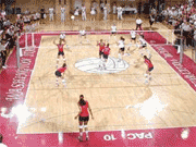 Volleyball