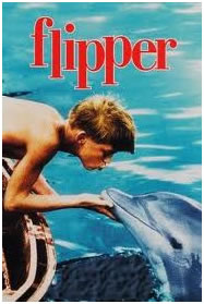 Flipper